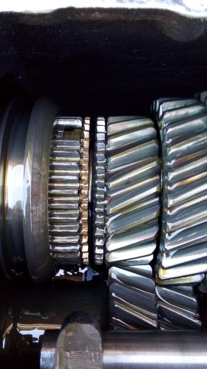 WhatsApp Image 2022-07-27 at 14.37.59 (1).jpeg