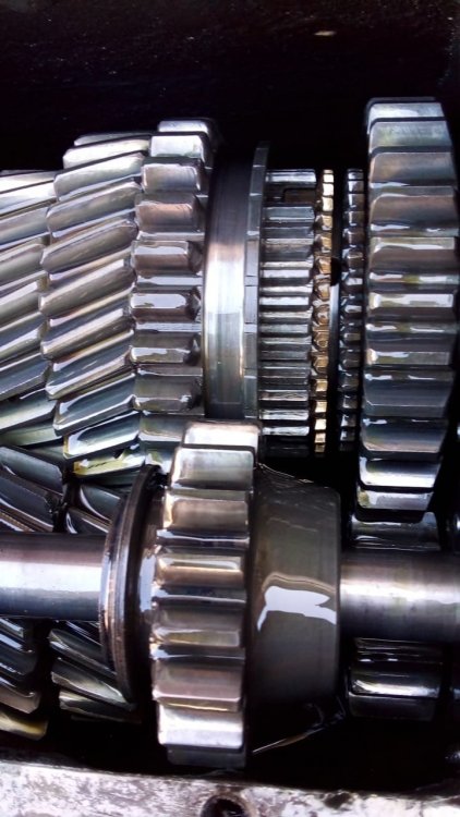 WhatsApp Image 2022-07-27 at 14.37.58 (2).jpeg