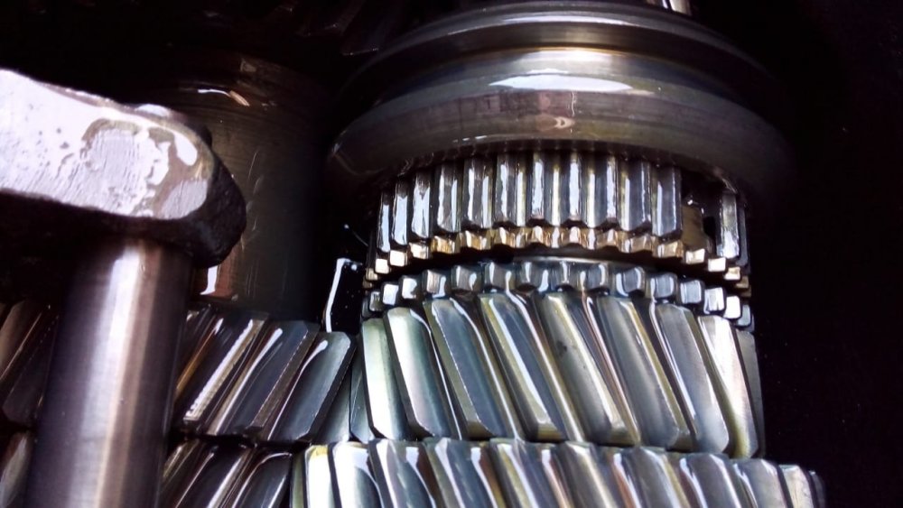 WhatsApp Image 2022-07-27 at 14.37.57.jpeg