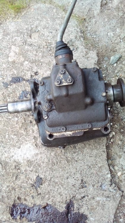 WhatsApp Image 2022-07-15 at 14.32.06.jpeg