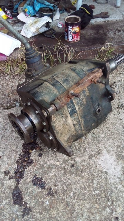 WhatsApp Image 2022-07-15 at 14.32.05.jpeg