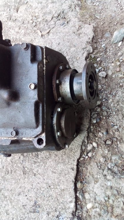 WhatsApp Image 2022-07-15 at 14.32.08.jpeg