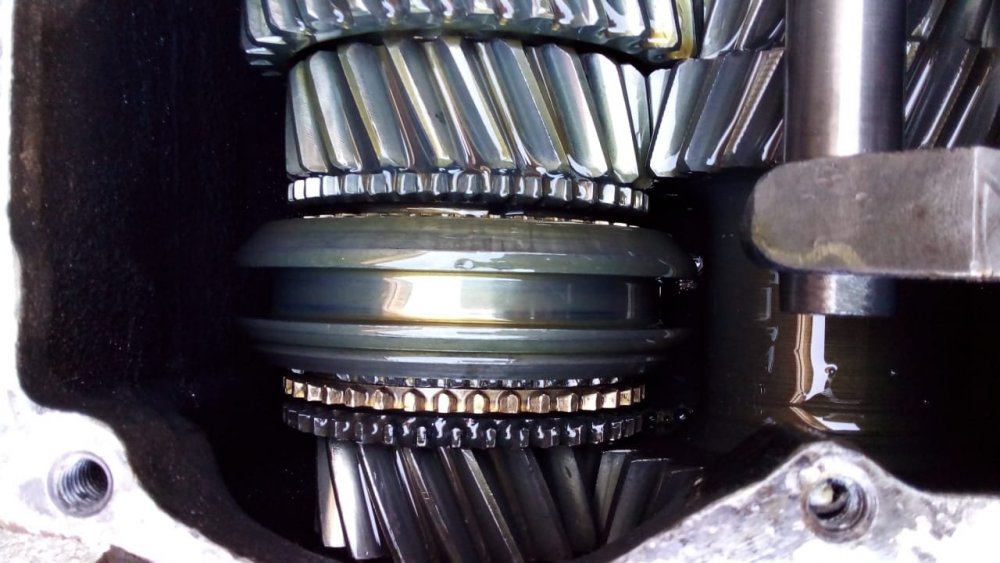 WhatsApp Image 2022-07-27 at 14.37.59.jpeg