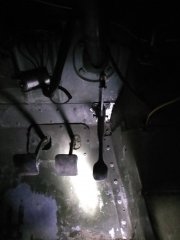 IMG_20220718_085942.jpg