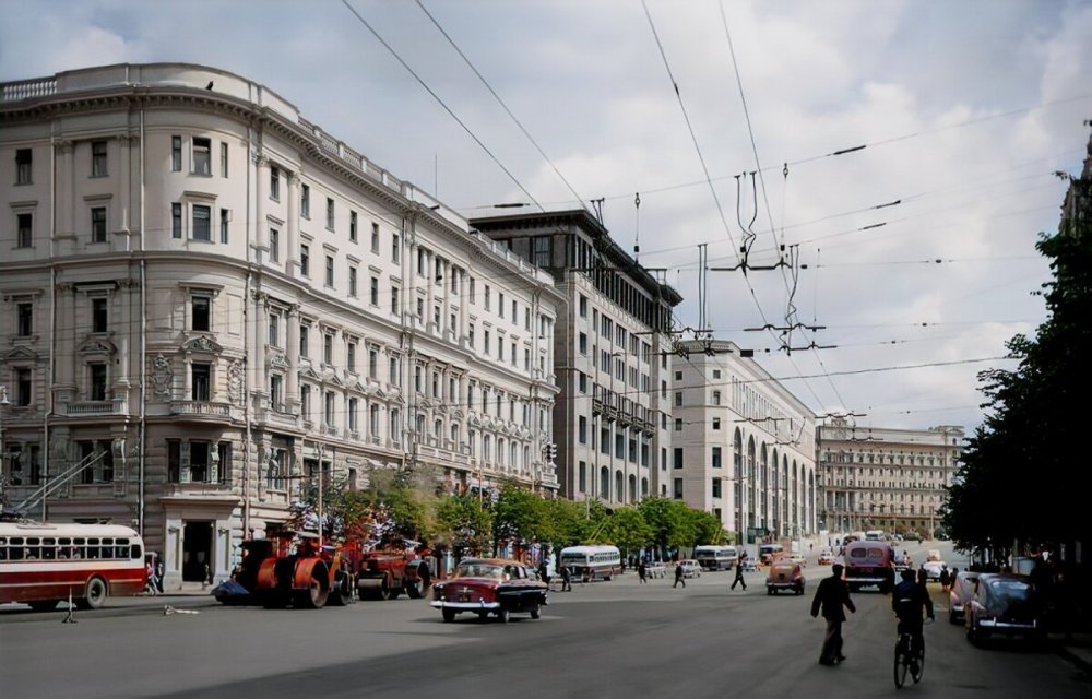 scale_1200 (38).jpeg