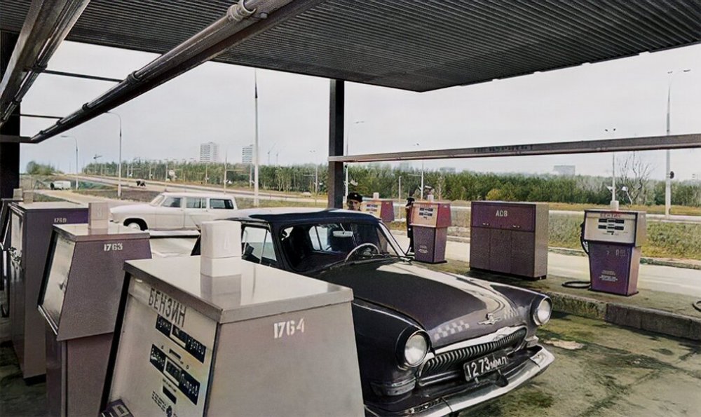 scale_2400 (13).jpeg