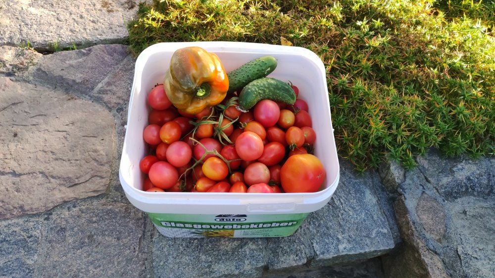 IMG-a0538039565fbbc29e71f09ccebaff80-V (1).jpg