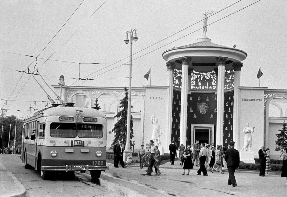 scale_1200 (54).jpeg