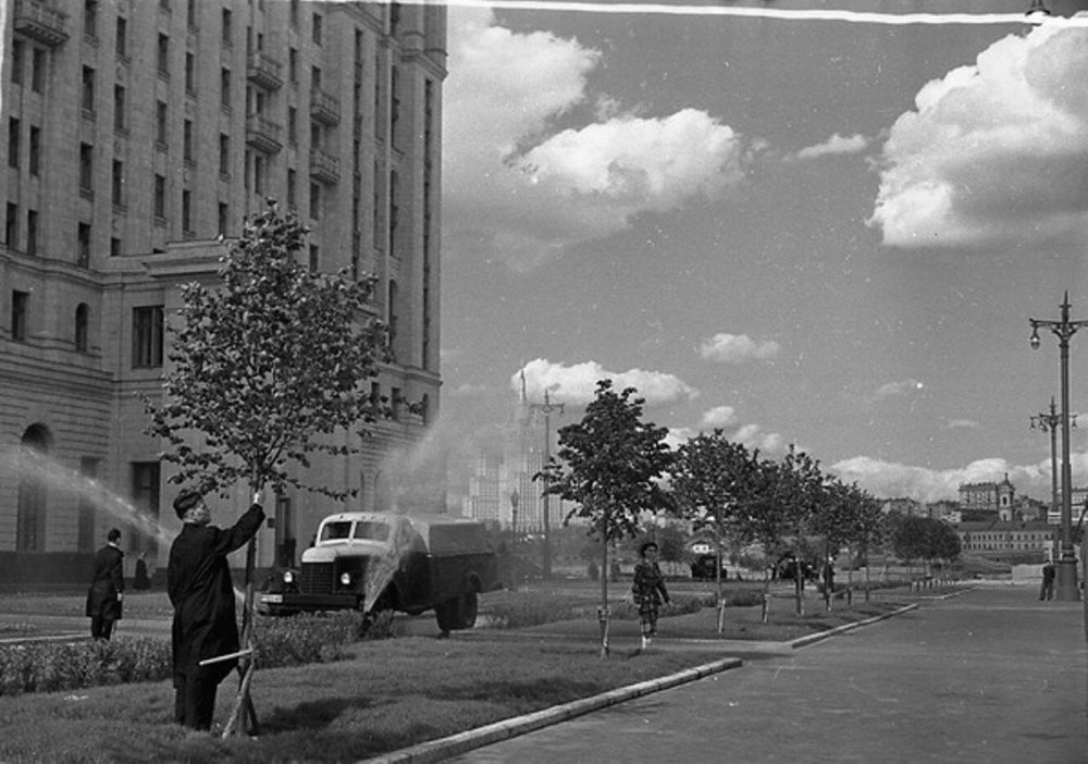 scale_2400 (22).jpeg