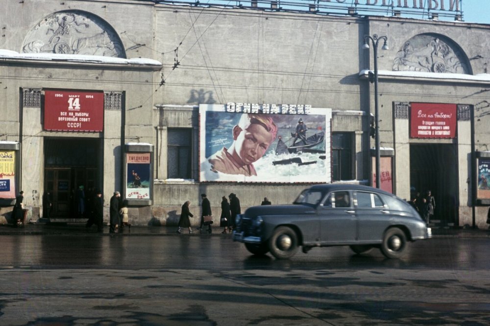 scale_1200 (55).jpeg