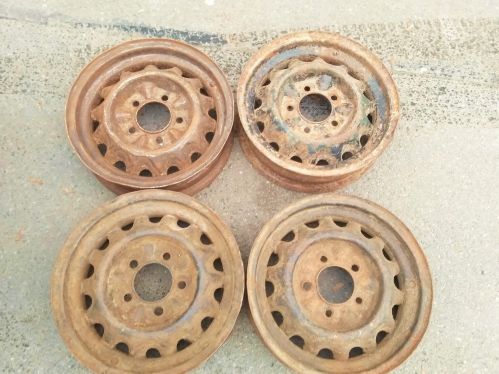 WhatsApp Image 2022-11-13 at 20.08.08.jpeg