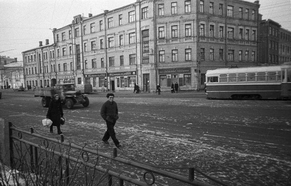 scale_1200 (45).jpeg