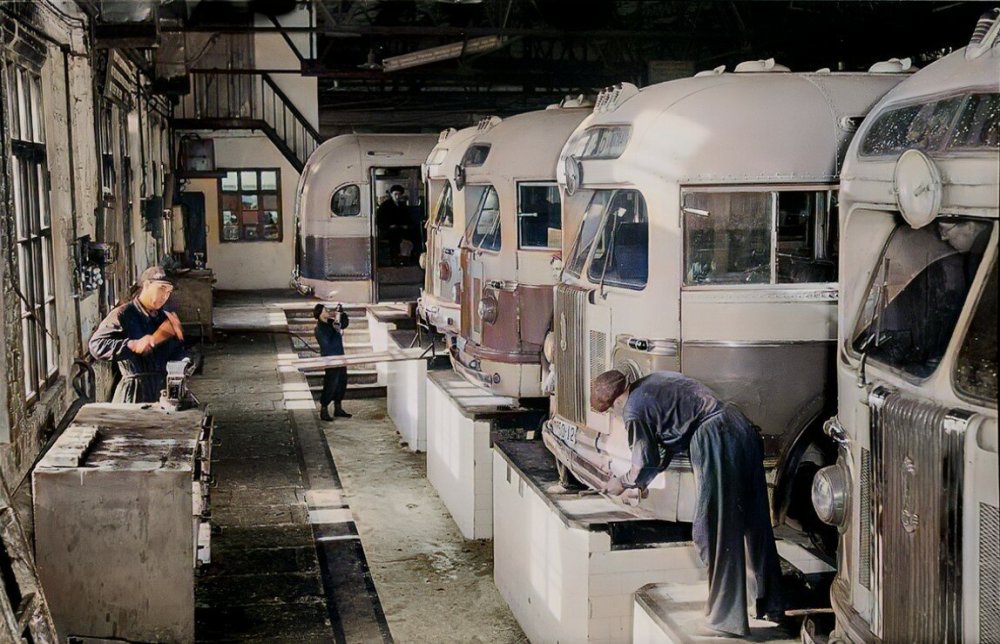 scale_1200 (39).jpeg