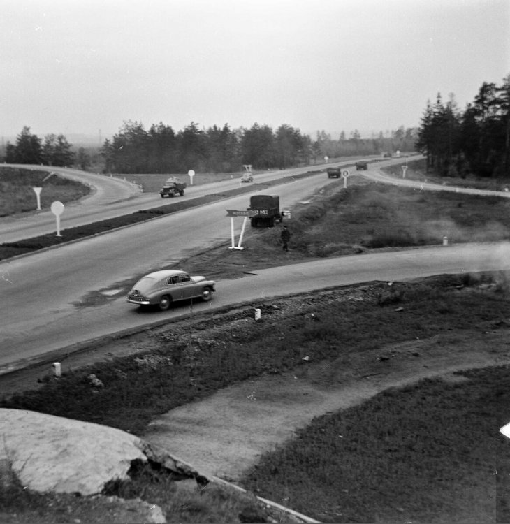 scale_1200 (70).jpeg