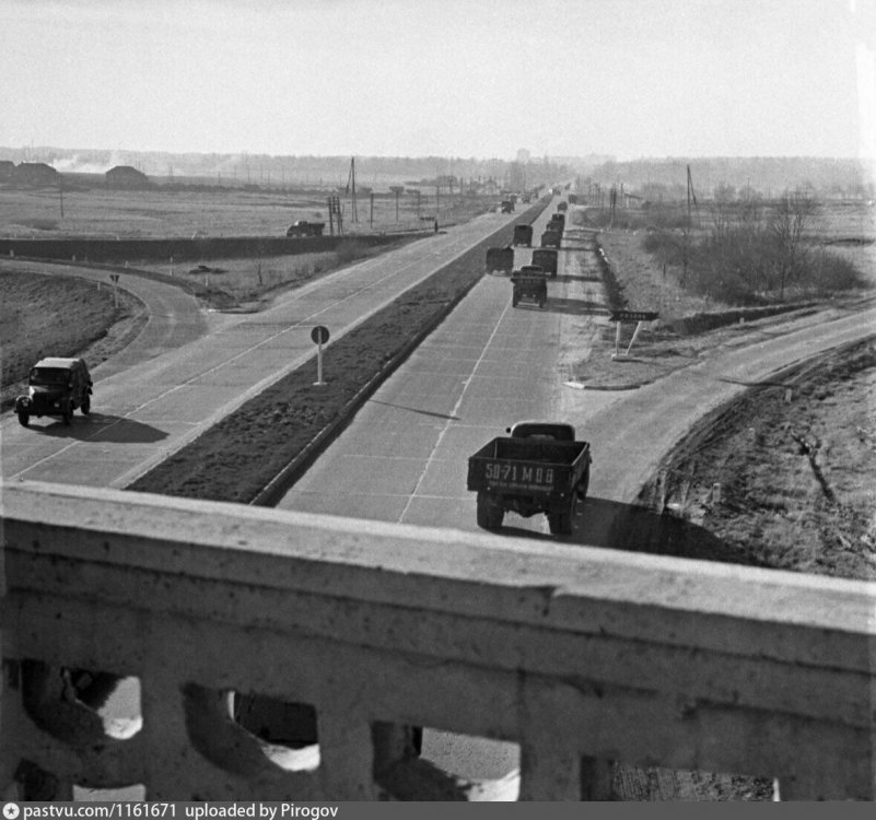 scale_1200 (60).jpeg