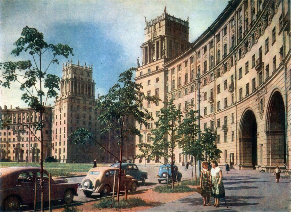 scale_1200 (18).jpeg