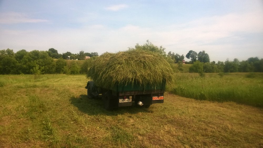 Изображение 088.jpg