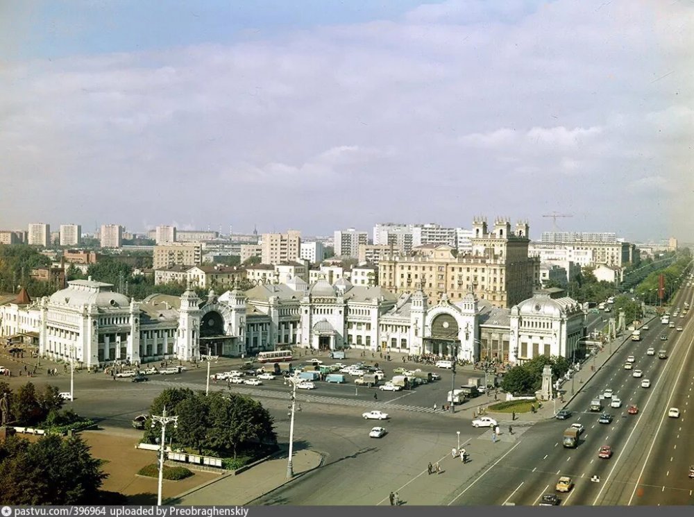 scale_1200 (100).jpeg