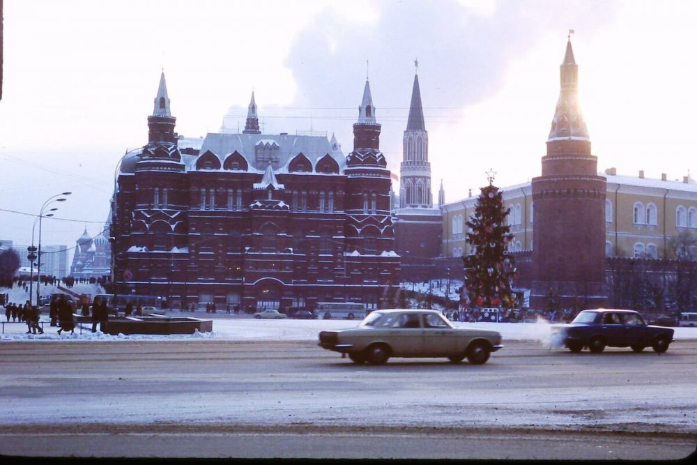 scale_1200 (73).jpeg