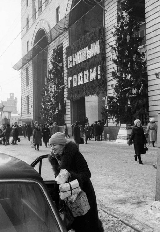 scale_1200 (75).jpeg