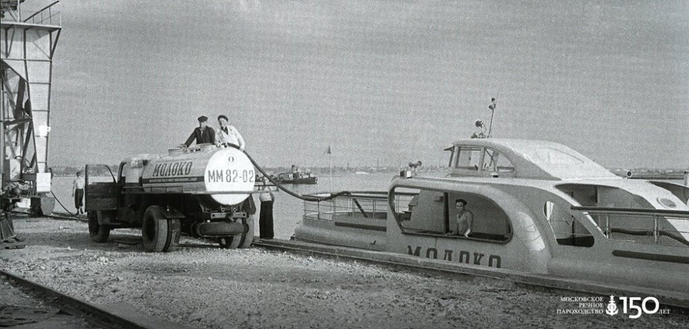 scale_1200 (93).jpeg