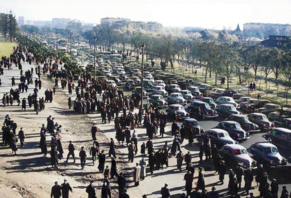 scale_1200 (82).jpeg