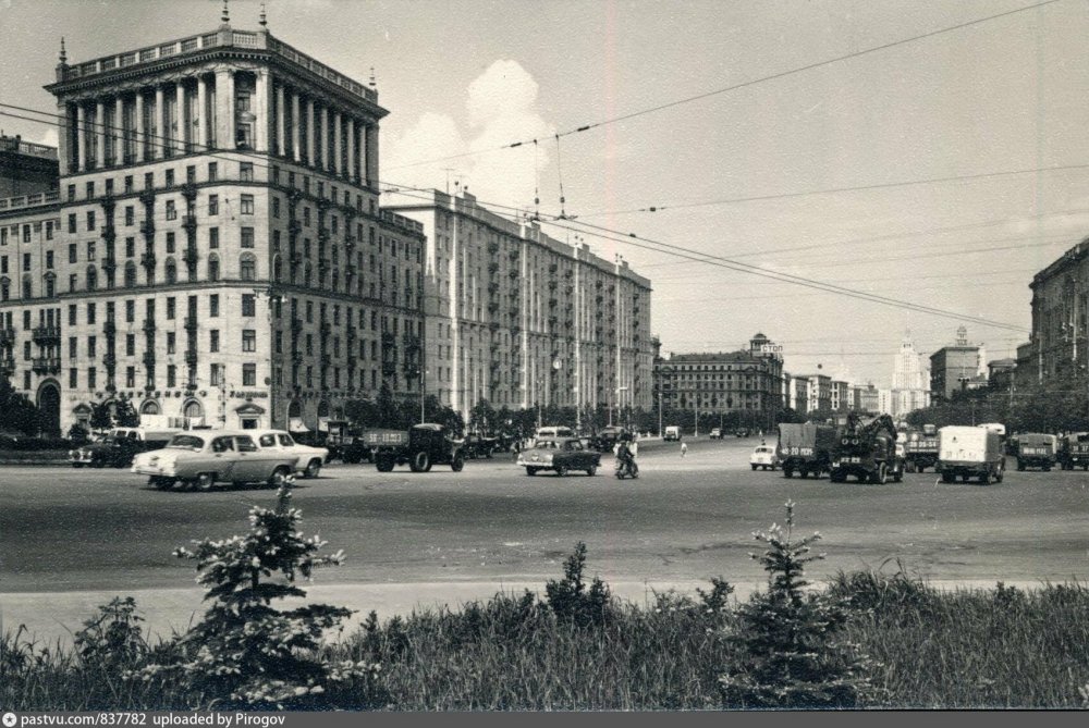 scale_2400 (29).jpeg