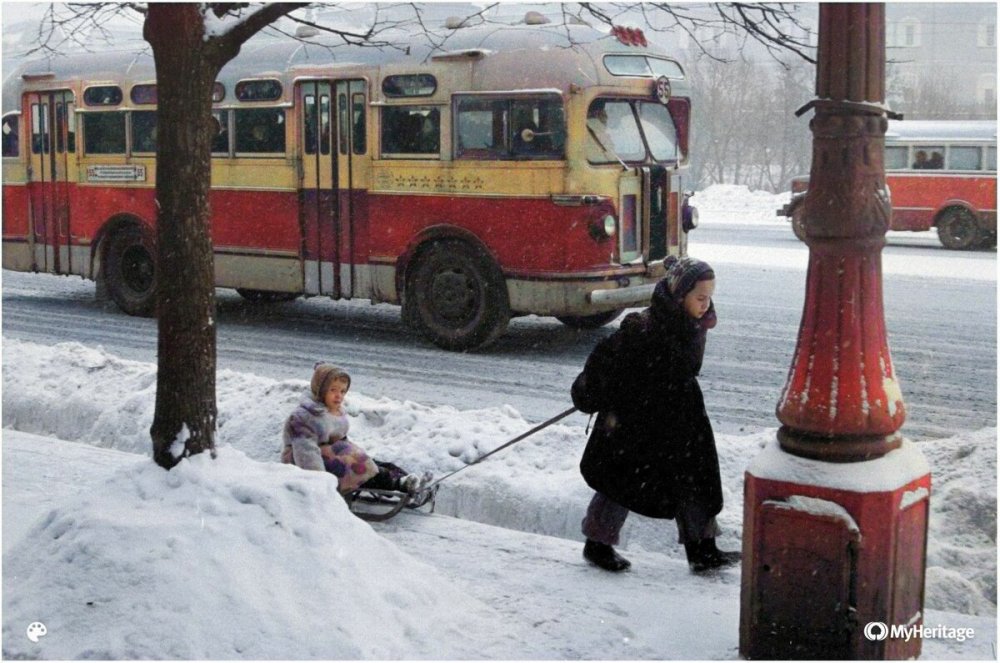 scale_1200 (66).jpeg