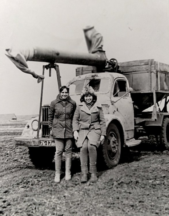 scale_1200 - 2023-01-25T223720.640.jpeg