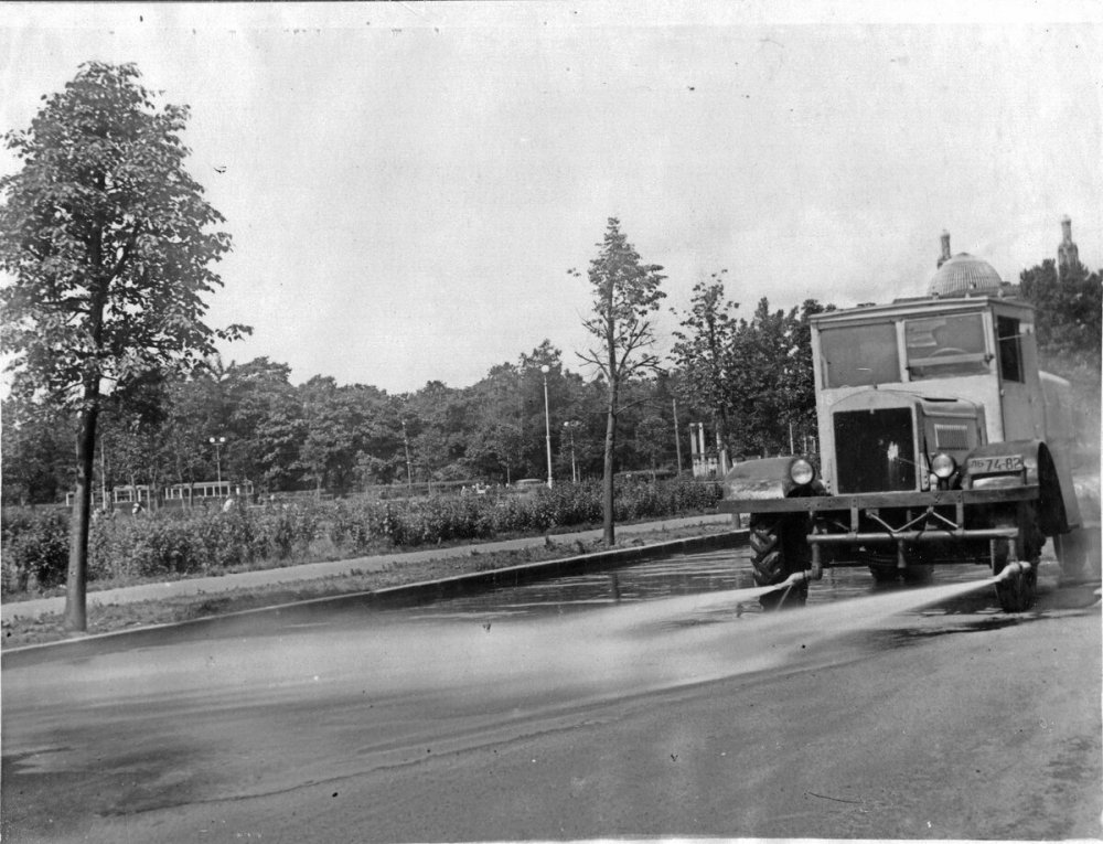 scale_1200 (18).jpeg