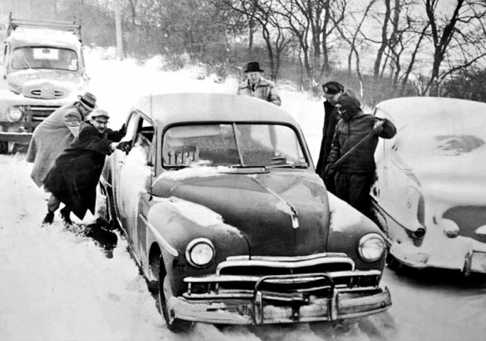 scale_1200 (12).jpeg