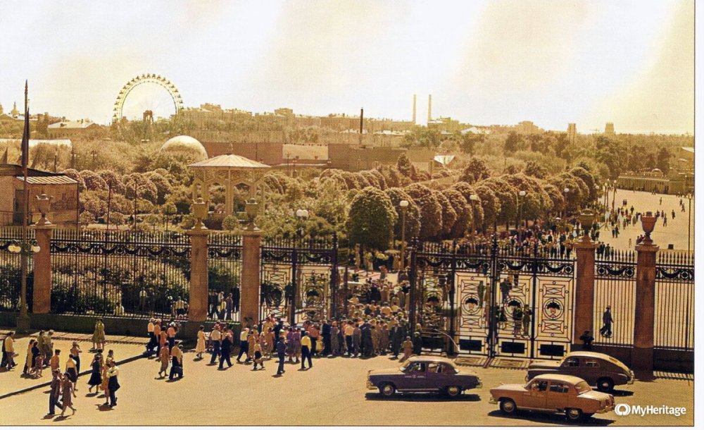 scale_1200 (15).jpeg