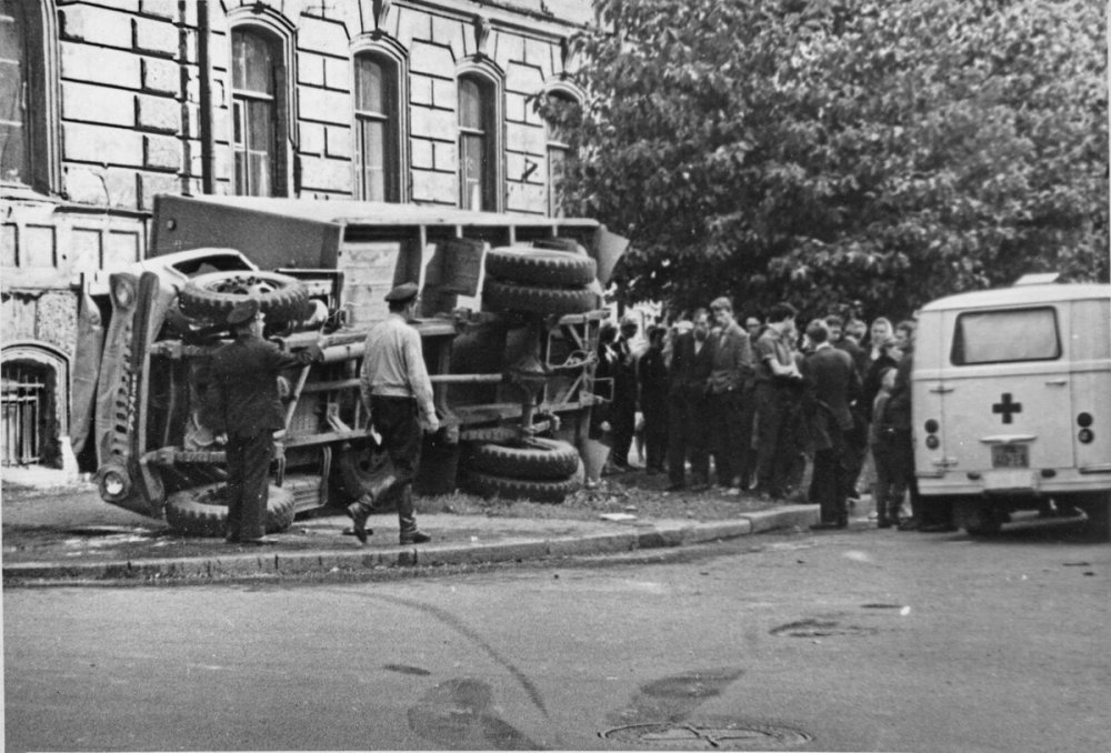 scale_1200 (42).jpeg