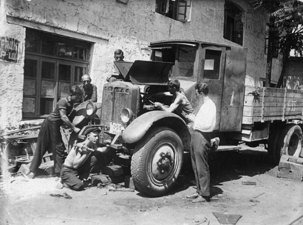 scale_1200 (22).jpeg