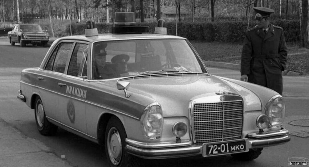 scale_1200 (20).jpeg