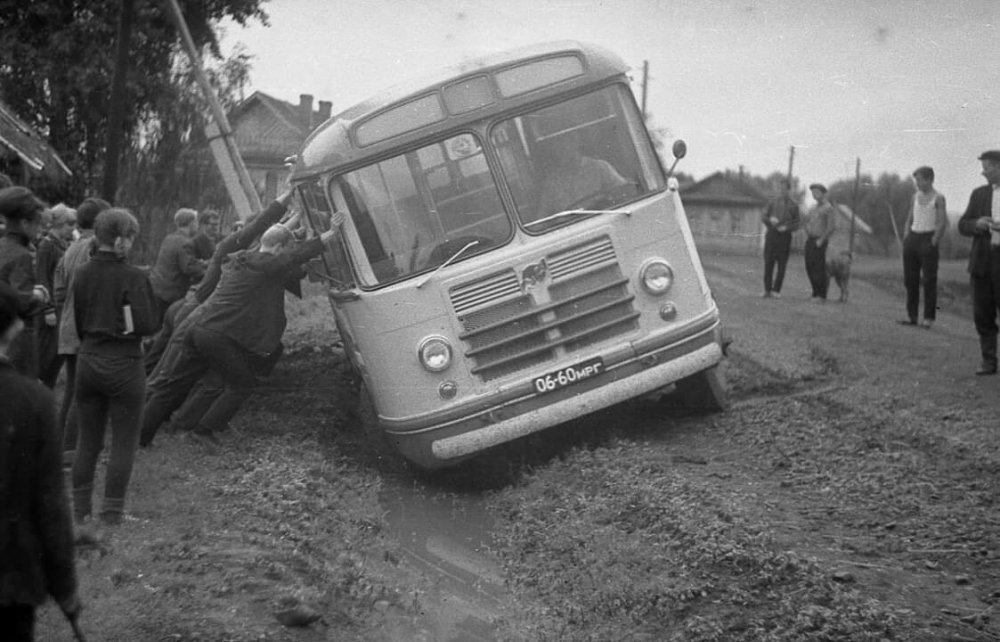 scale_1200 (29).jpeg