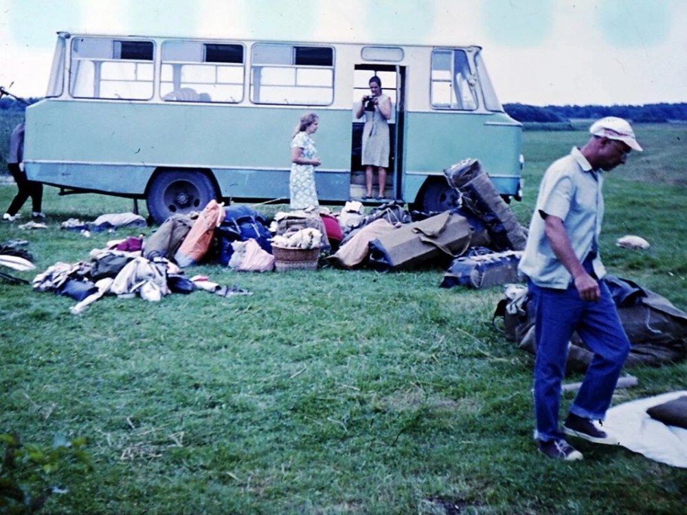 scale_1200 (42).jpeg