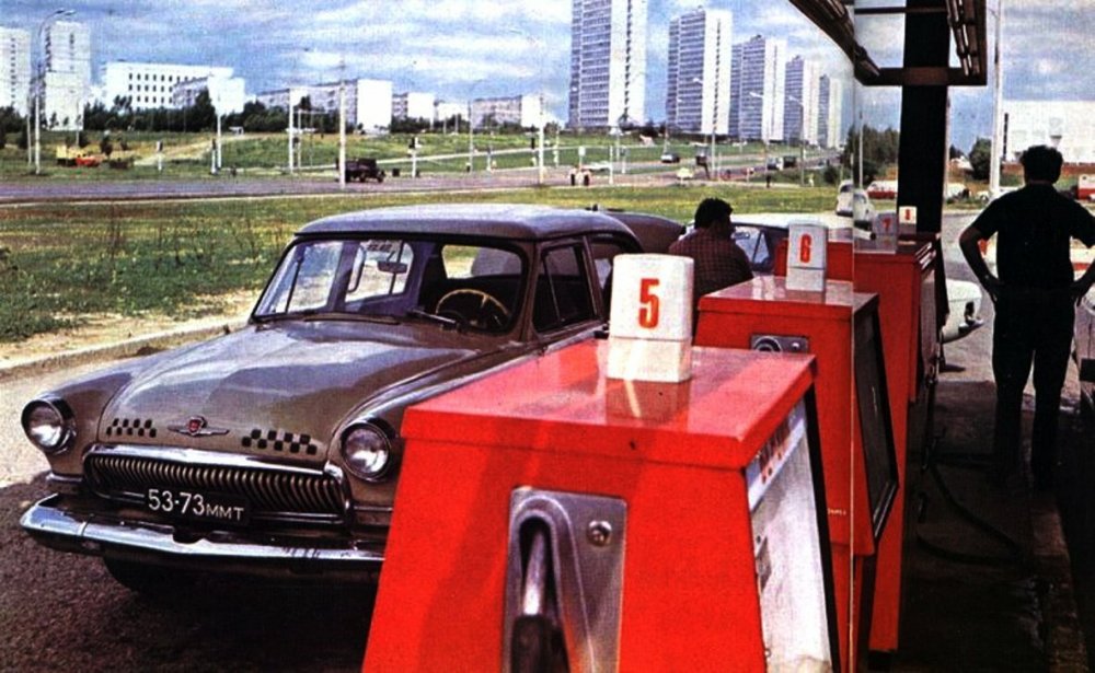 scale_1200 (23).jpeg