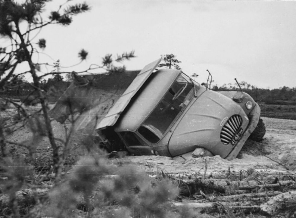 scale_1200 (40).jpeg