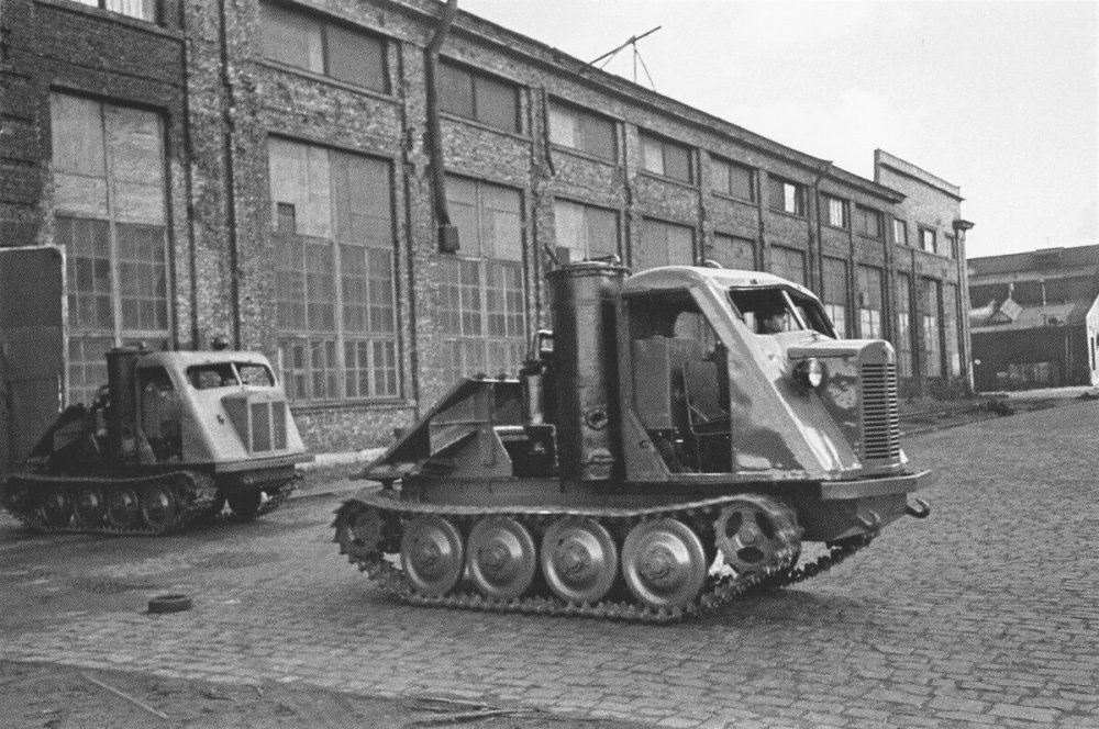 scale_1200 (11).jpeg