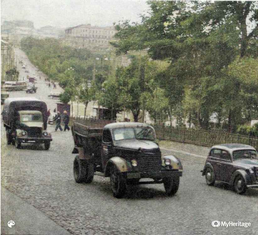 scale_1200 (49).jpeg