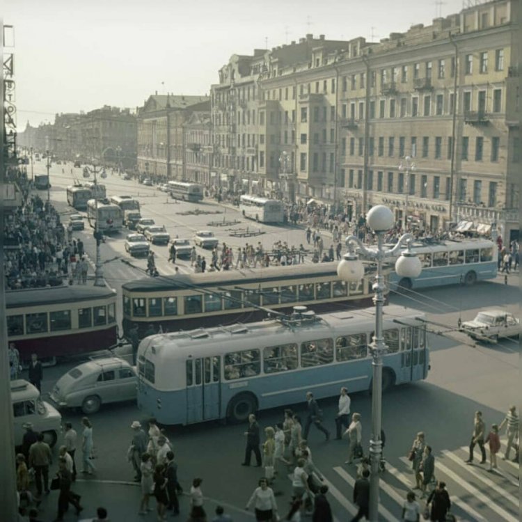 scale_1200 (39).jpeg