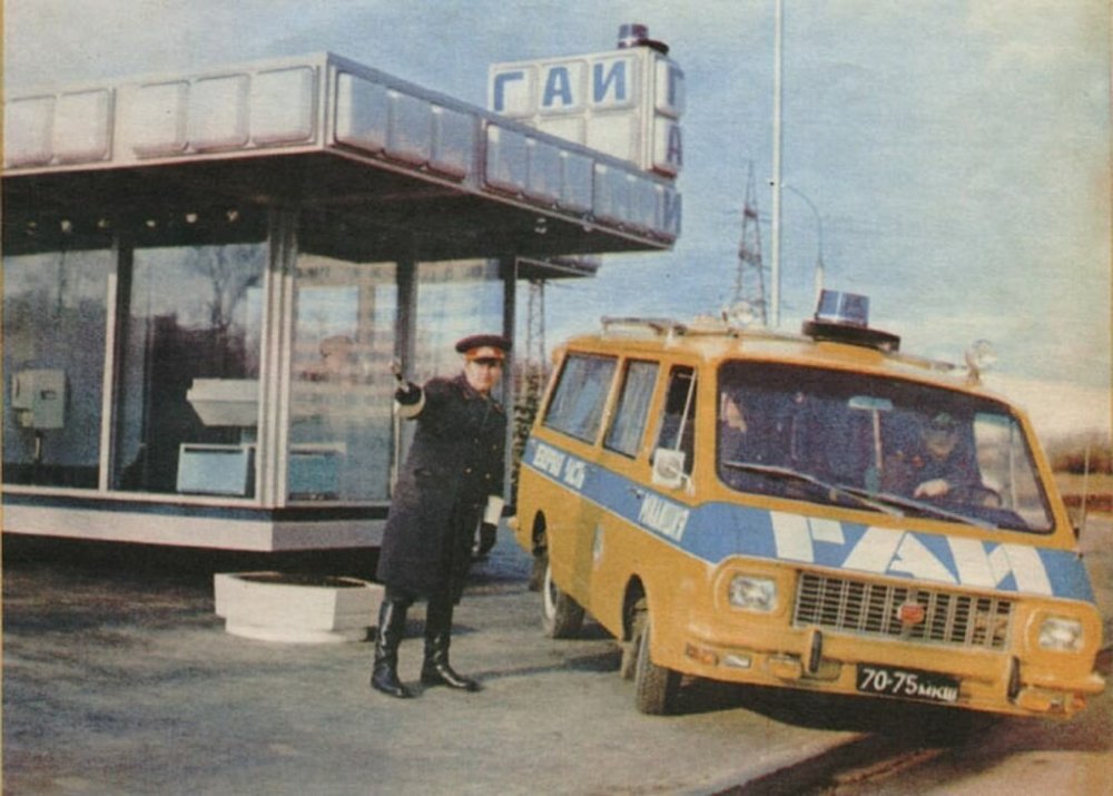 scale_1200 (26).jpeg