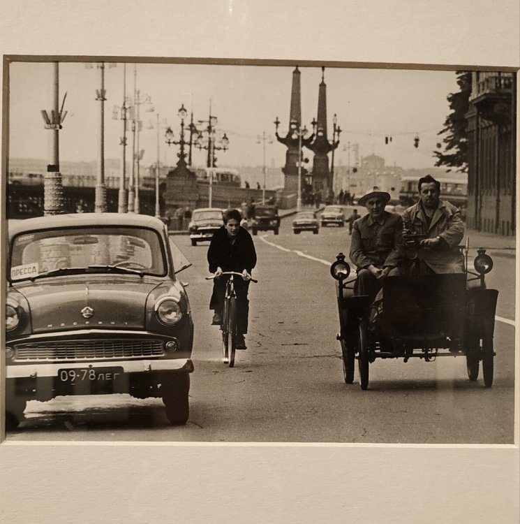 scale_1200 (51).jpeg