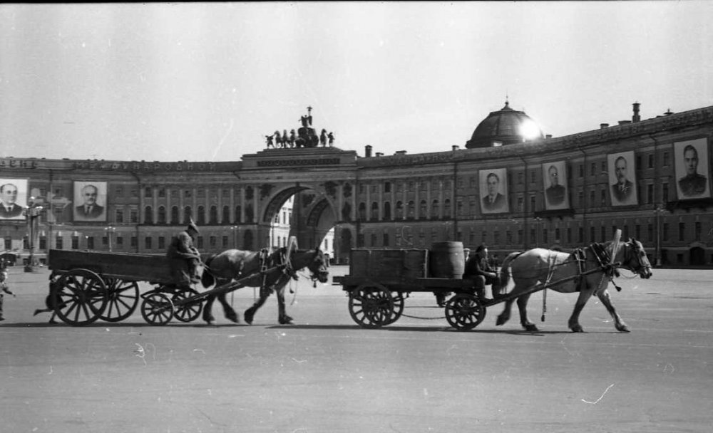 scale_1200 (52).jpeg