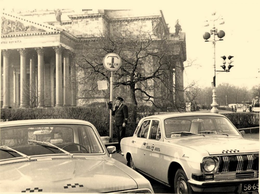 scale_1200 (34).jpeg