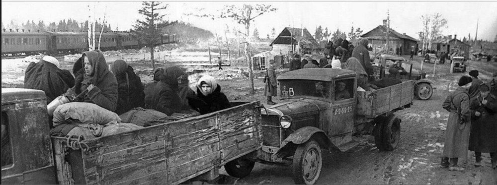 scale_1200 (43).jpeg