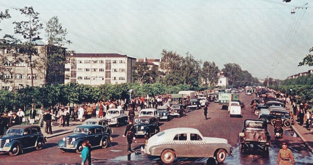 scale_1200 (37).jpeg