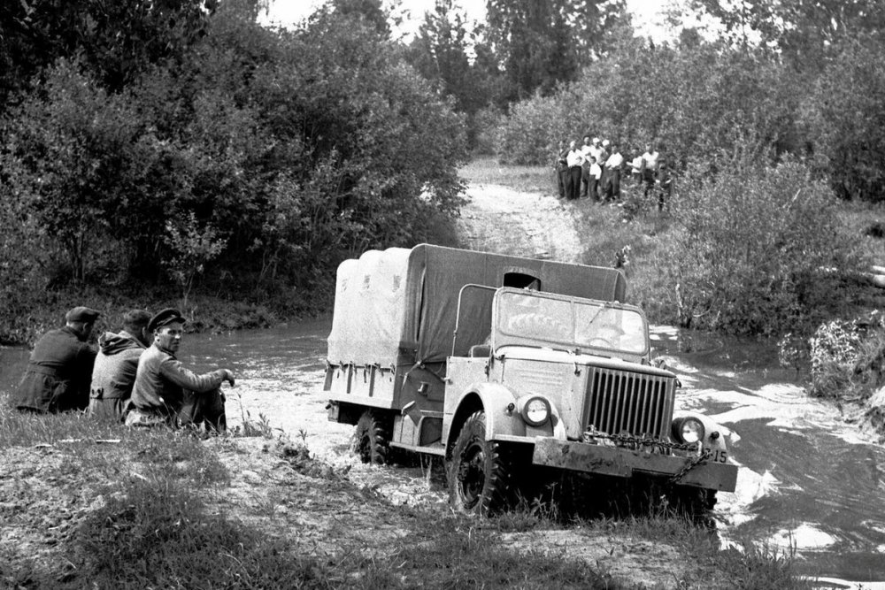 scale_1200 (35).jpeg