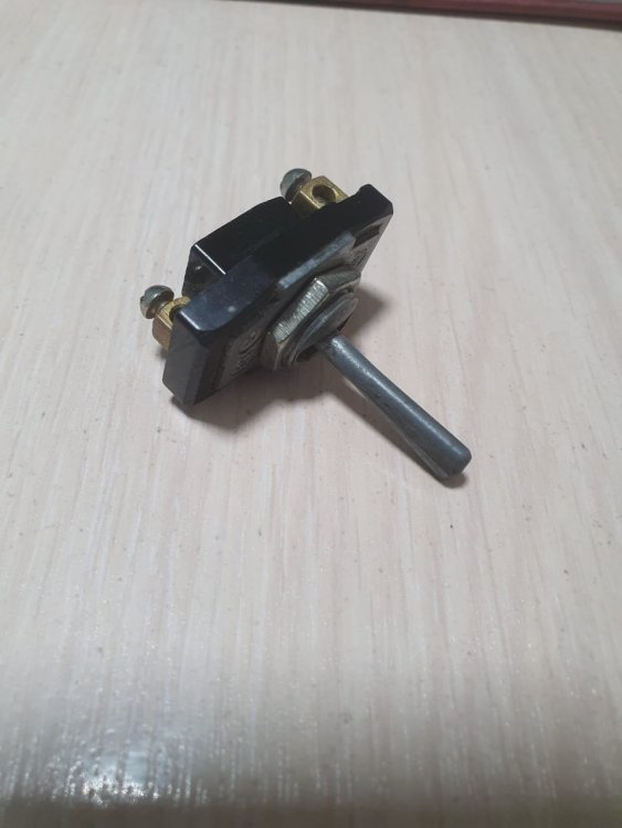 WhatsApp Image 2023-08-03 at 08.47.50.jpeg